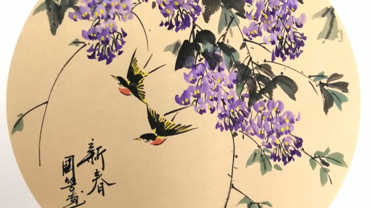 赏杨国芳老师的花鸟“小品”
