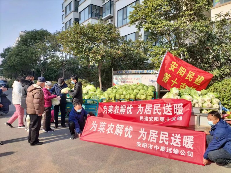 安阳民建会员爱心接力为社区捐赠蔬菜