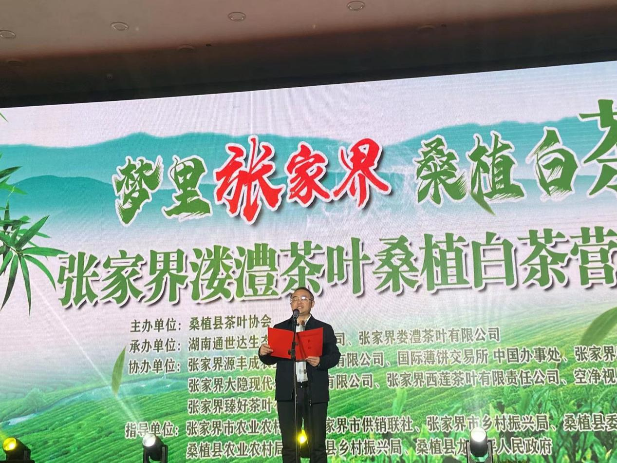 梦里张家界 桑植白茶醇 桑植白茶营销招商大会圆满举行 梦里张家界 桑植白茶醇 桑植白茶营销招商大会圆满举行