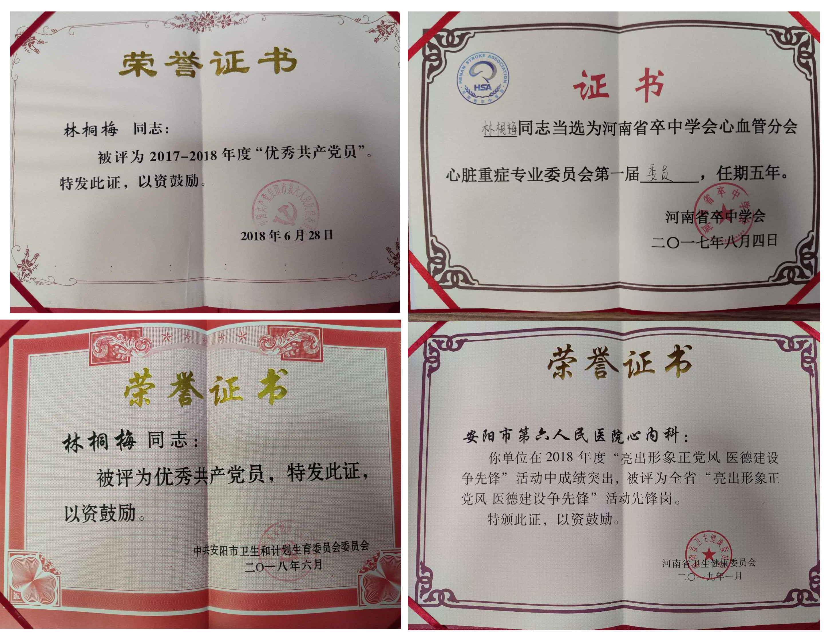 第五届道德教育新闻人物 林桐梅