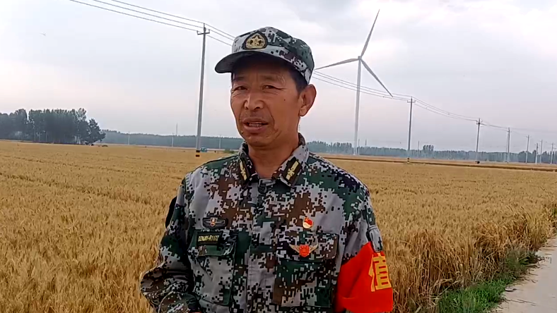 抢夏收麦归仓 好政策水入田—记山东德州宁津县王吏目村小农水工程 抢夏收麦归仓 好政策水入田—记山东德州宁津县王吏目村小农水工程