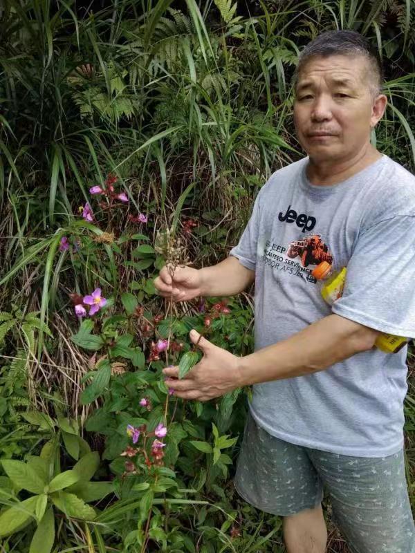 高级反射蜂疗专家范景良 高级反射蜂疗专家范景良