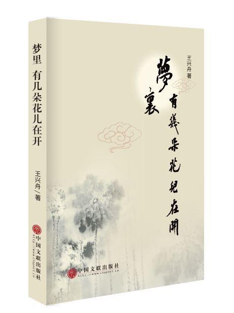王兴舟《梦里 有几朵花儿在开》:告诉你散文最宝贵的品质是什么