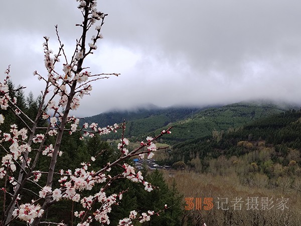 五台山春色