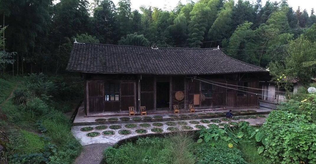 华祥龙茶业创始人——中国茶痴董绍林 华祥龙茶业创始人——中国茶痴董绍林
