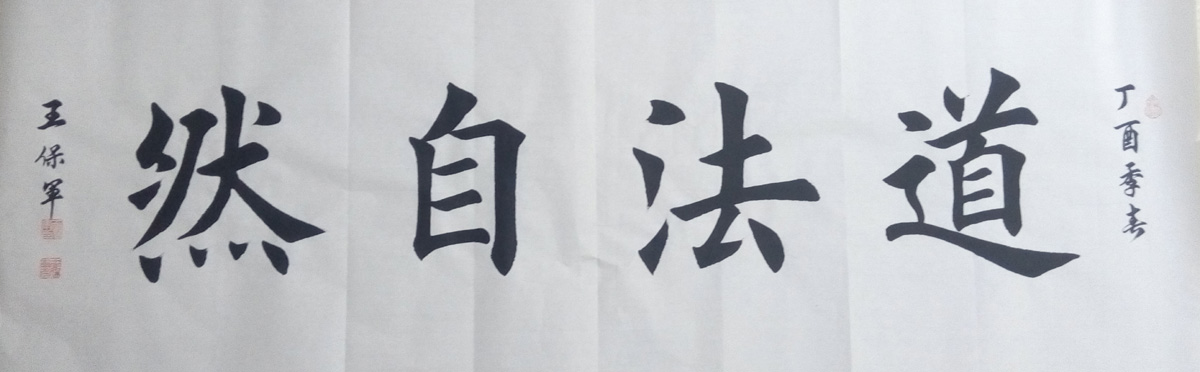 中国当代实力派书画名家王保军书法艺术欣赏