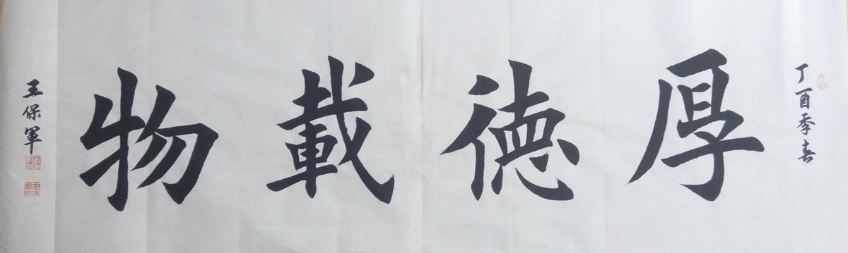 中国当代实力派书画名家王保军书法艺术欣赏