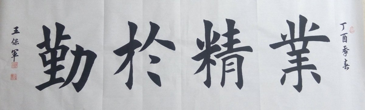 中国当代实力派书画名家王保军书法艺术欣赏